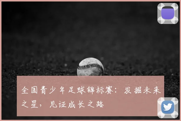 全国青少年足球锦标赛：发掘未来之星，见证成长之路